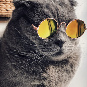 韩国中国最漂亮最漂亮最漂亮的美女刺激黄色网
