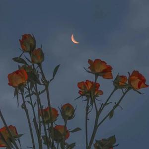 韩国中国最漂亮最漂亮最漂亮的美女刺激黄色网
