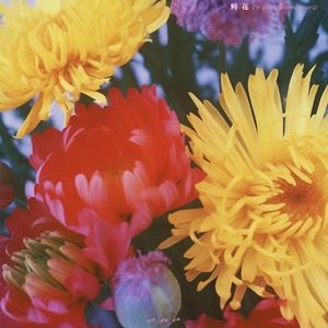 韩国中国最漂亮最漂亮最漂亮的美女刺激黄色网
