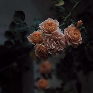 韩国中国最漂亮最漂亮最漂亮的美女刺激黄色网
