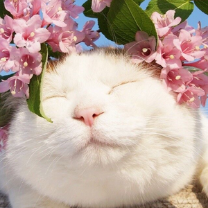 韩国中国最漂亮最漂亮最漂亮的美女刺激黄色网
